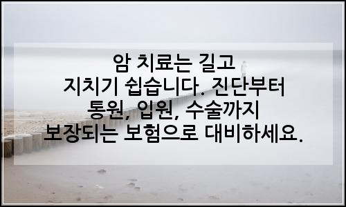 오늘의 이미지