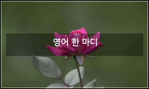 오늘의 이미지