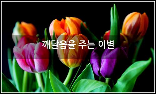 오늘의 이미지