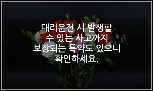 오늘의 이미지