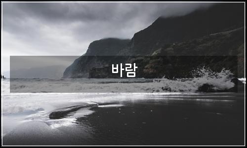 오늘의 이미지