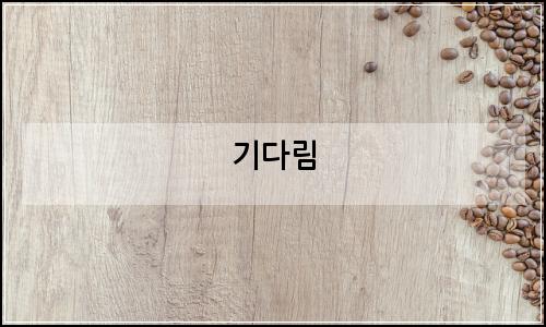 오늘의 이미지