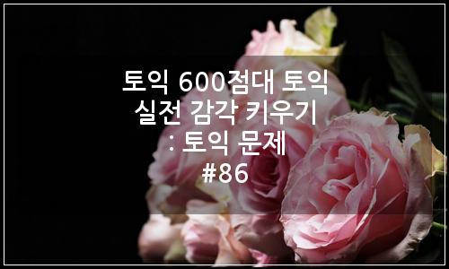 오늘의 이미지