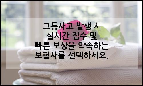 오늘의 이미지