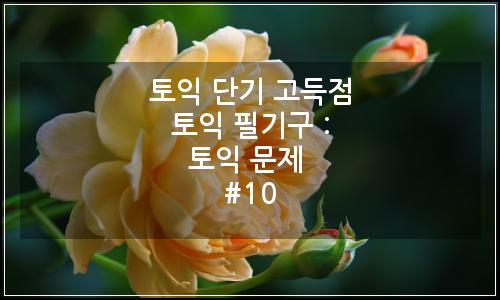 오늘의 이미지