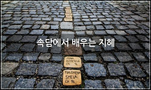 오늘의 이미지