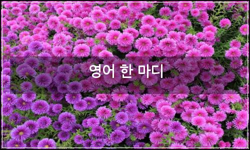 오늘의 이미지