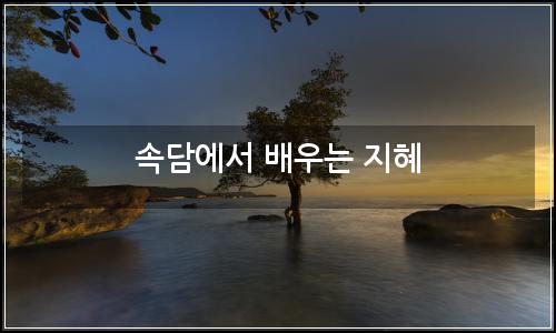 오늘의 이미지