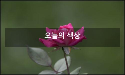 오늘의 이미지