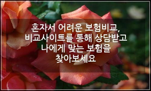 오늘의 이미지
