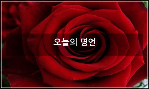 오늘의 이미지