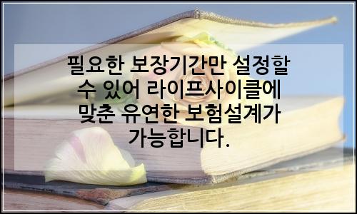 오늘의 이미지