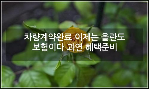 오늘의 이미지