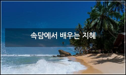 오늘의 이미지