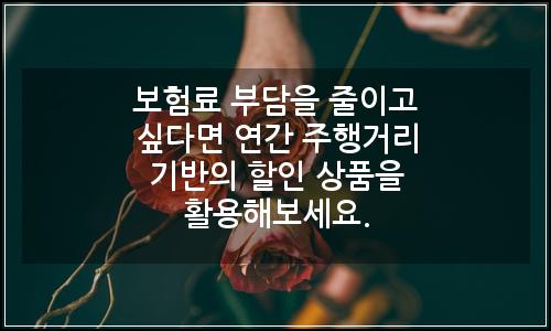 오늘의 이미지