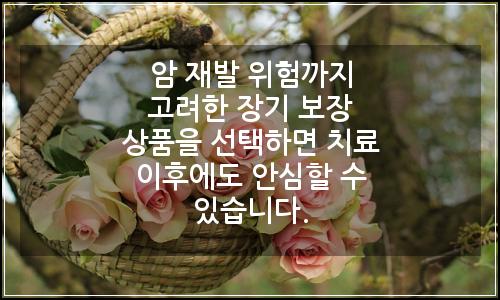 오늘의 이미지