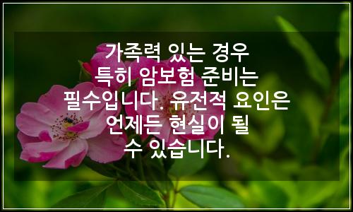 오늘의 이미지