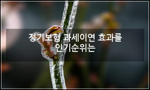 오늘의 이미지