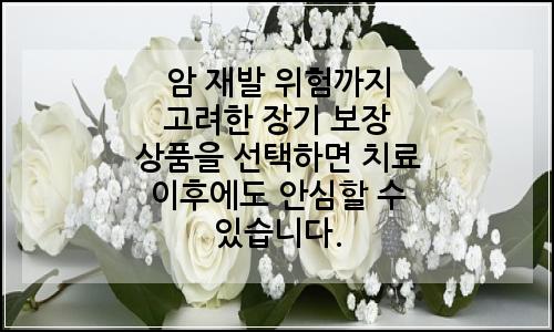 오늘의 이미지
