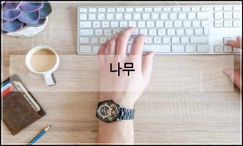 오늘의 이미지