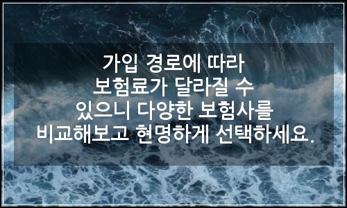 오늘의 이미지