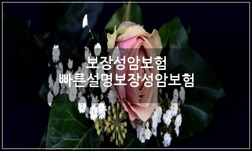 오늘의 이미지
