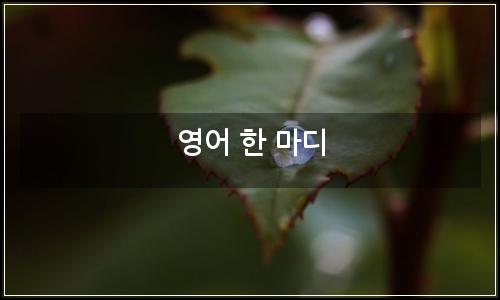 오늘의 이미지
