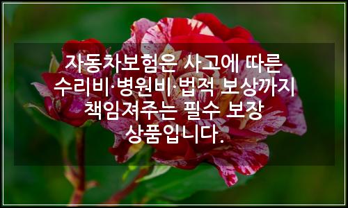 오늘의 이미지