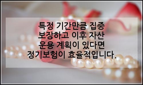 오늘의 이미지