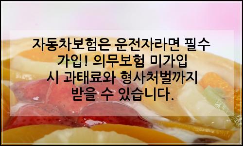 오늘의 이미지