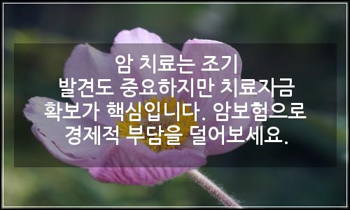 오늘의 이미지