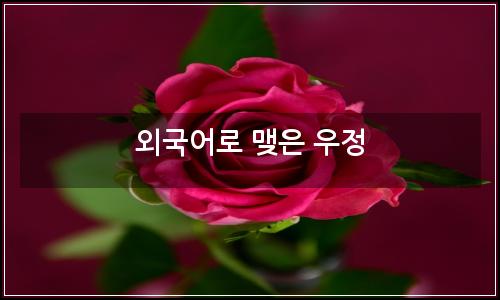 오늘의 이미지