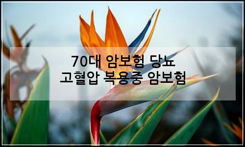 오늘의 이미지