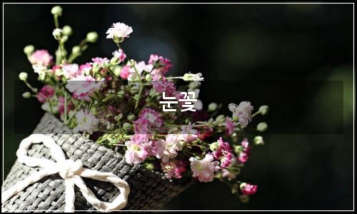 오늘의 이미지
