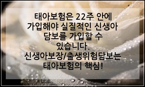 오늘의 이미지