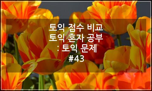 오늘의 이미지