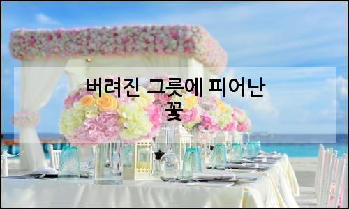 오늘의 이미지