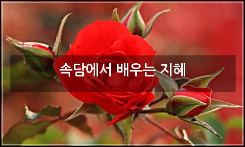 오늘의 이미지