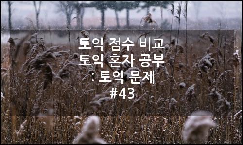 오늘의 이미지