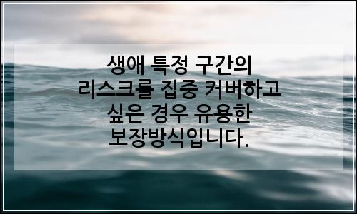 오늘의 이미지