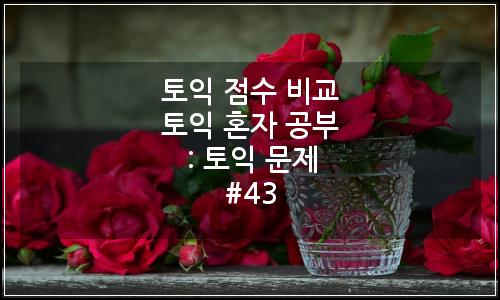 오늘의 이미지