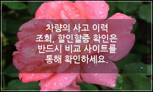 오늘의 이미지