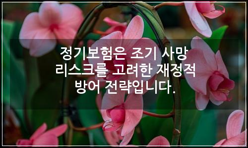 오늘의 이미지