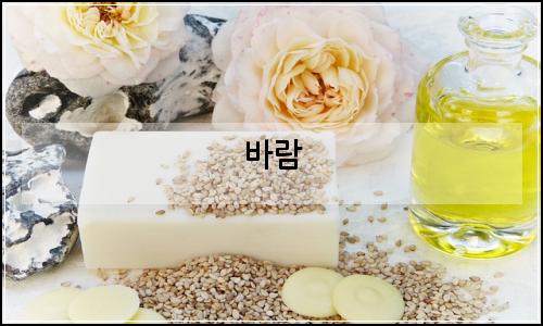 오늘의 이미지