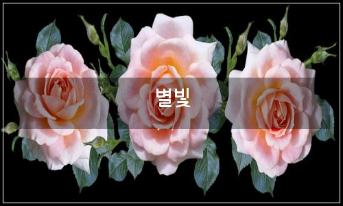 오늘의 이미지