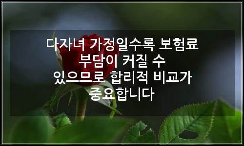 오늘의 이미지