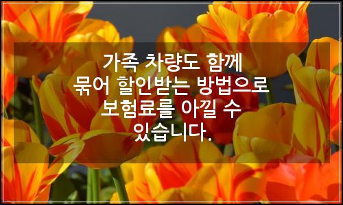 오늘의 이미지