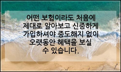 오늘의 이미지
