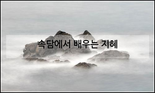 오늘의 이미지