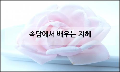 오늘의 이미지